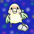 piyolog