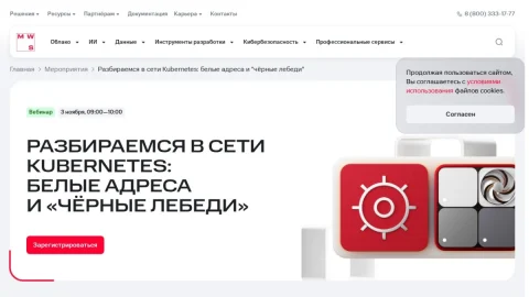 MWS Cloud Platform page preview