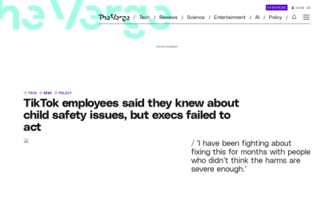 The Verge page preview