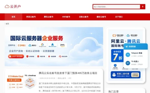 实名账号网 page preview