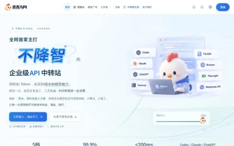 吉吉API page preview