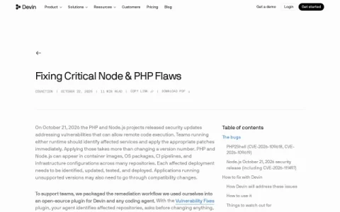 Devin Vulnerability Fixes page preview