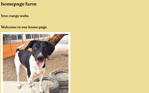 Home Page Farm page preview