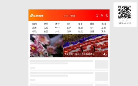手机新浪网 page preview