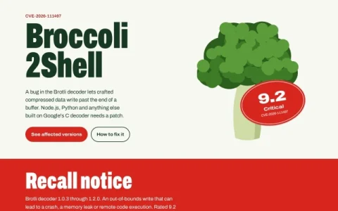 Broccoli2Shell page preview