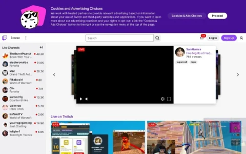 Twitch page preview