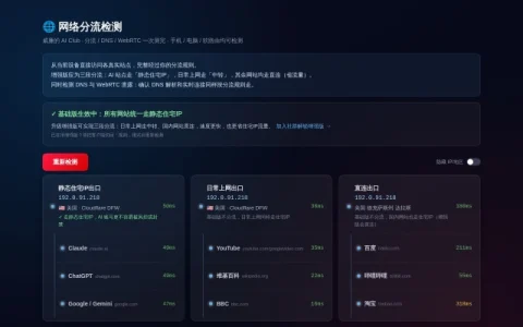 网络分流检测 page preview