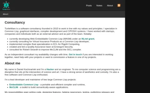 TurtleWare page preview