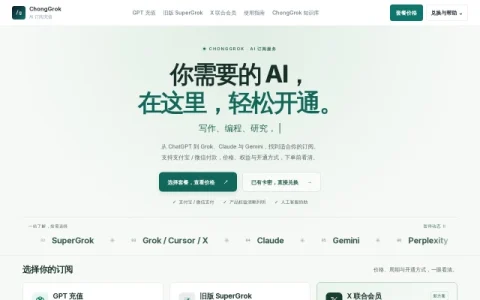 ChongGrok page preview