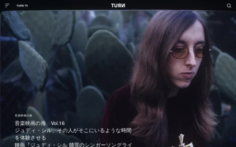 TURN page preview