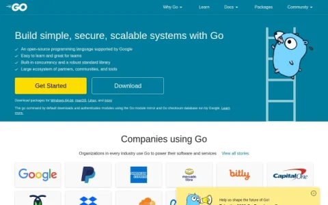 Go Programming Language page preview