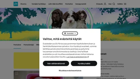 Pentulive page preview